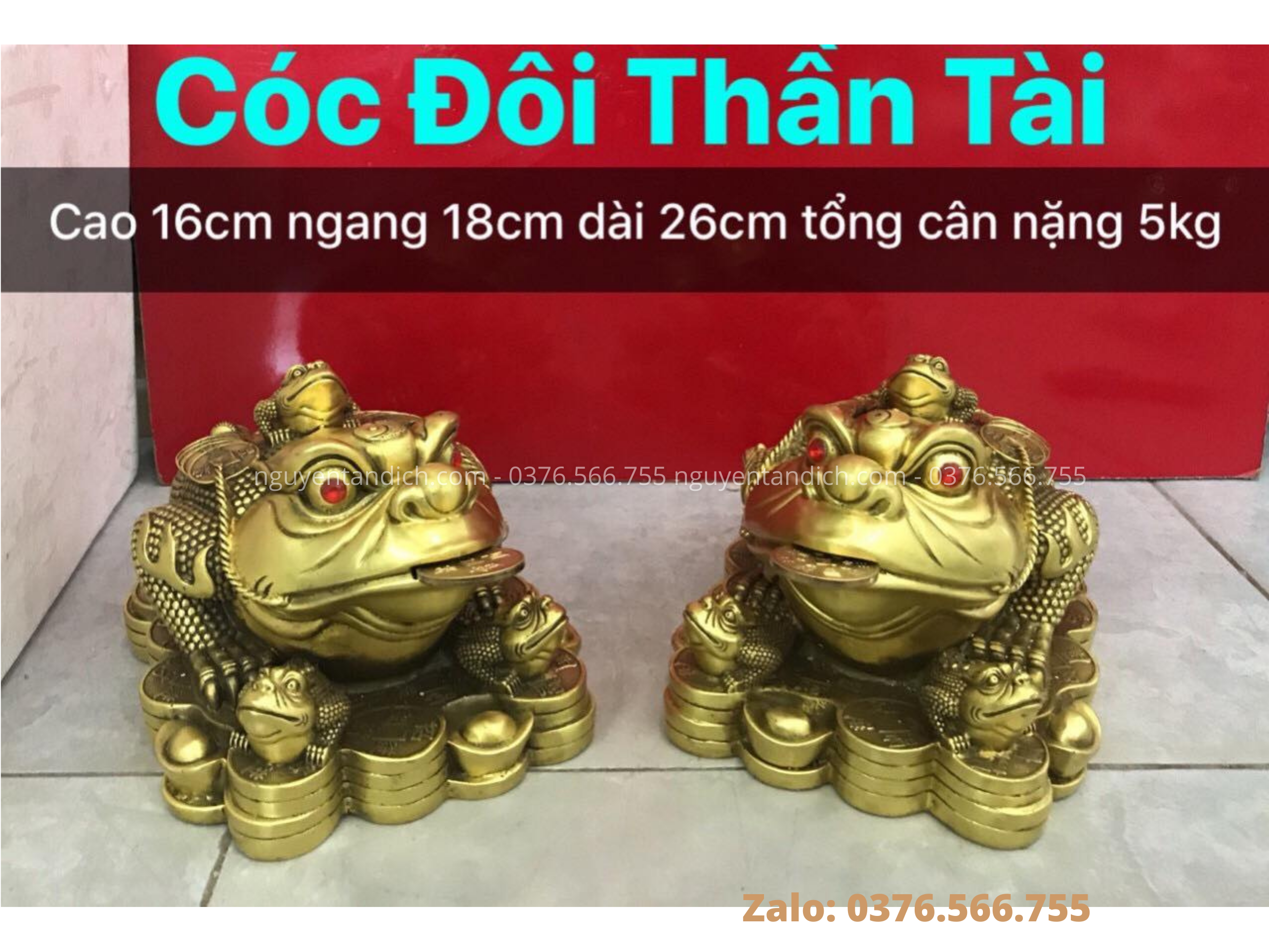 tuong coc doi bang dong 4